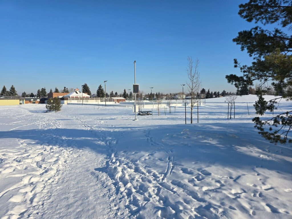 Steinhauer Park Edmonton in Winter