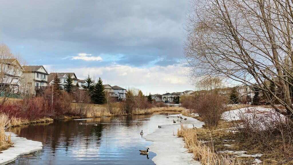 Edmonton neighbourhood pond